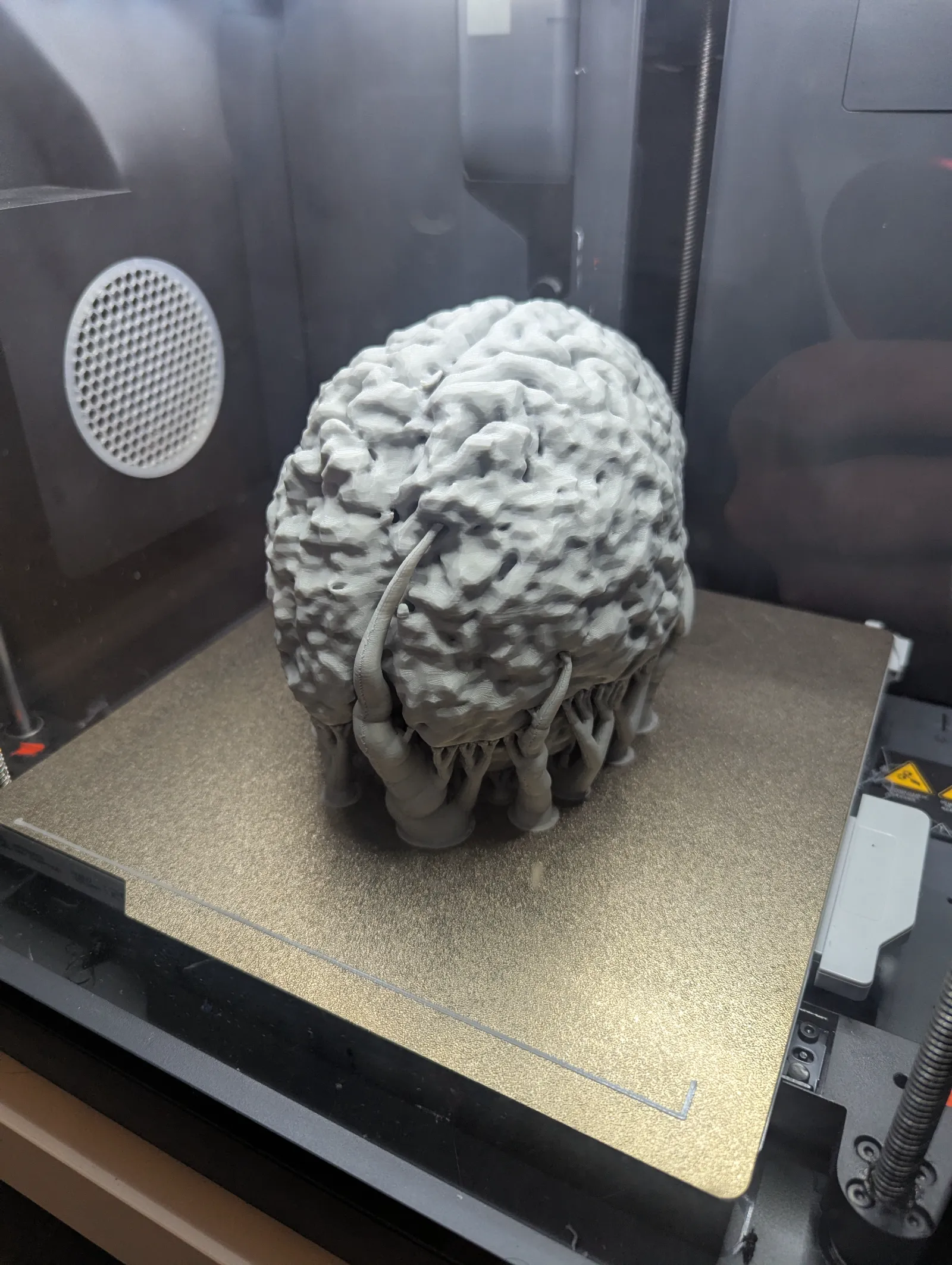 PXL_20250311_135730374