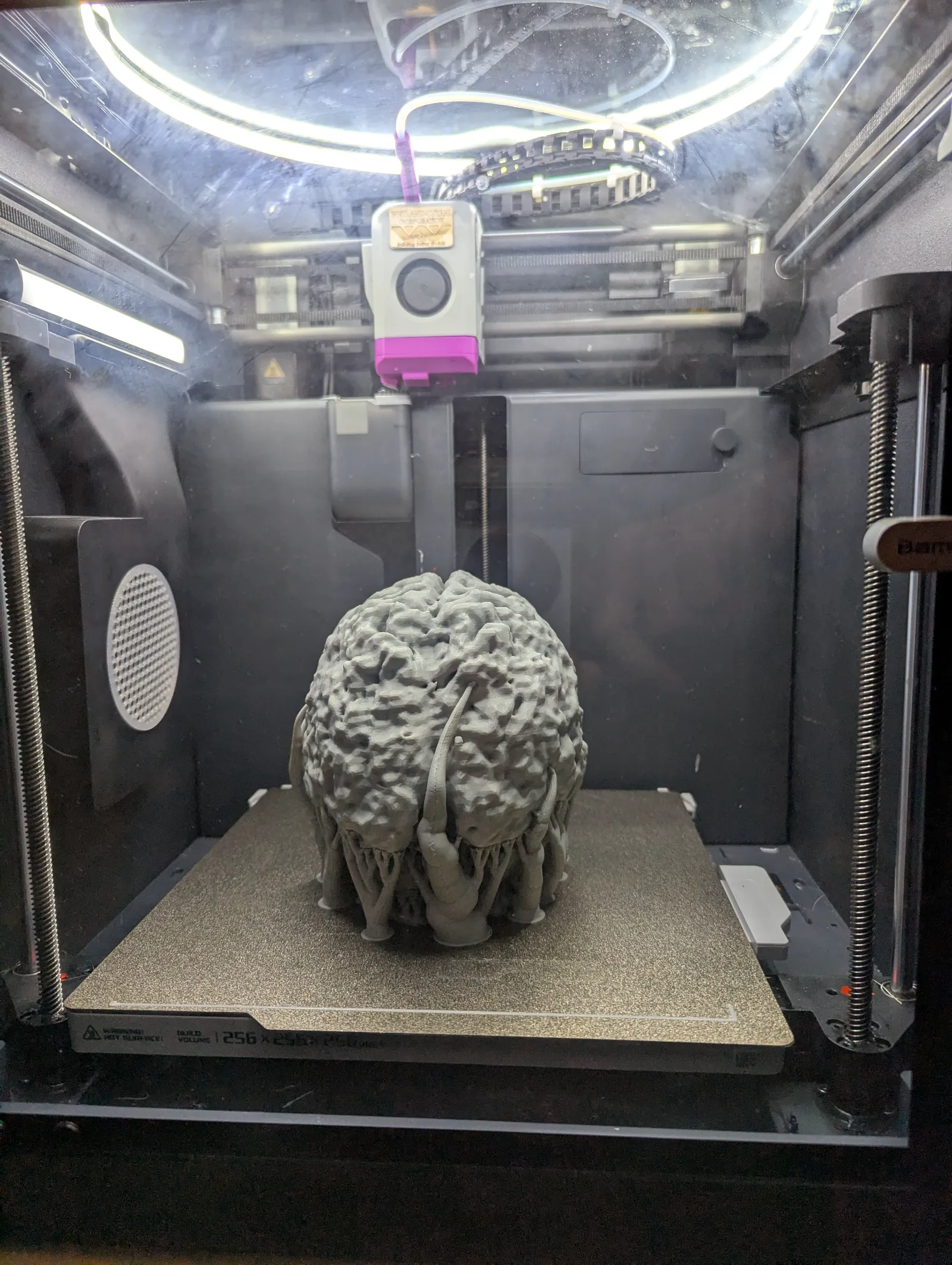 PXL_20250311_135737239